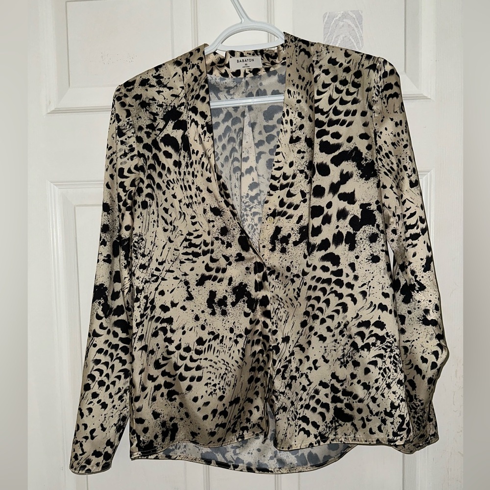 Babaton satin V cut blouse